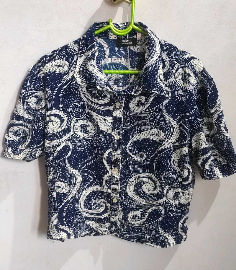 Blue Balloon Sleeves Top