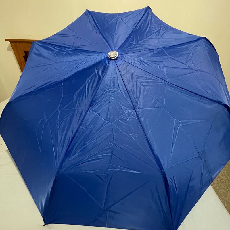 Blue Umbrella