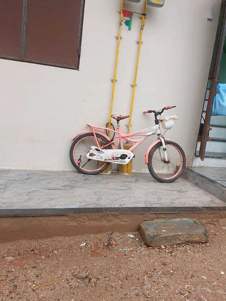 Kids Pink Bicycle