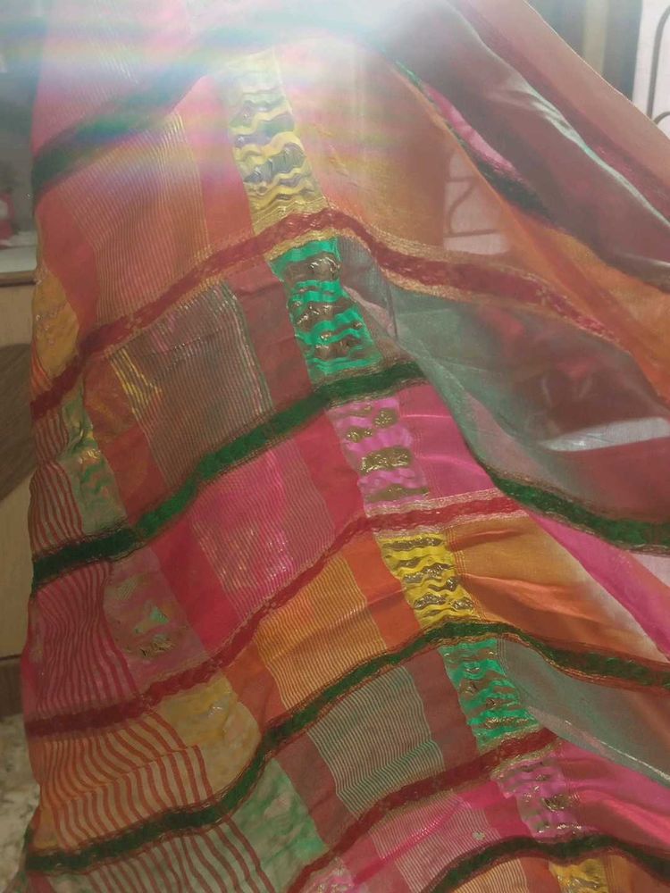 Colorful Ethnic Saree