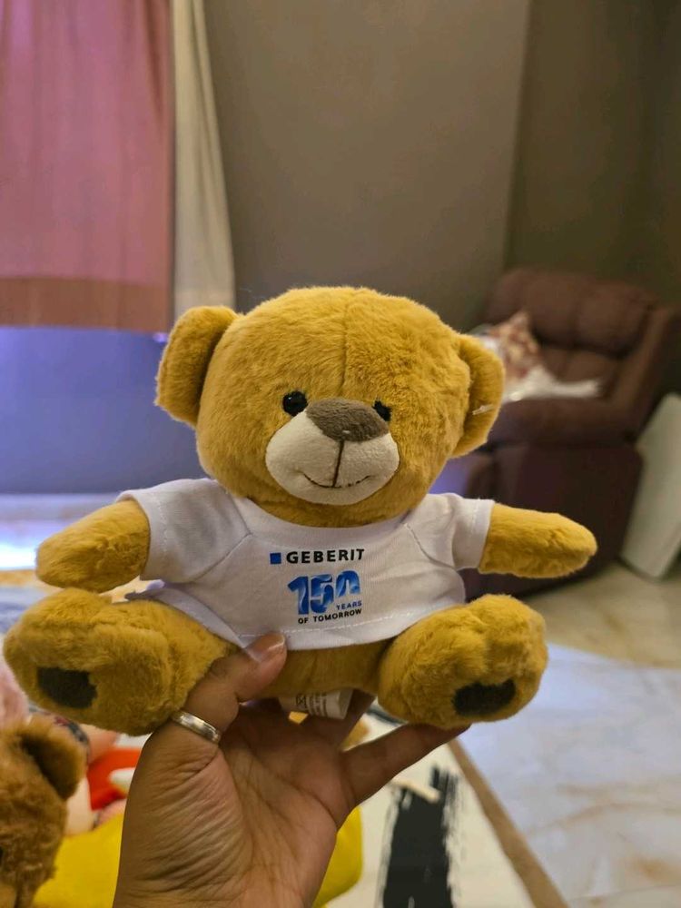 Cute Teddy Bear