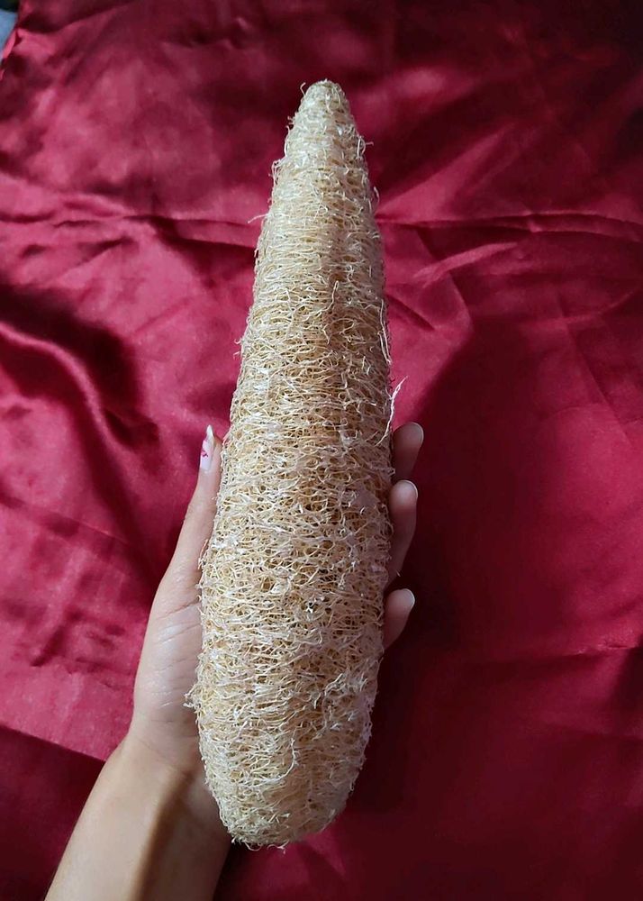 Natural Loofah Sponge