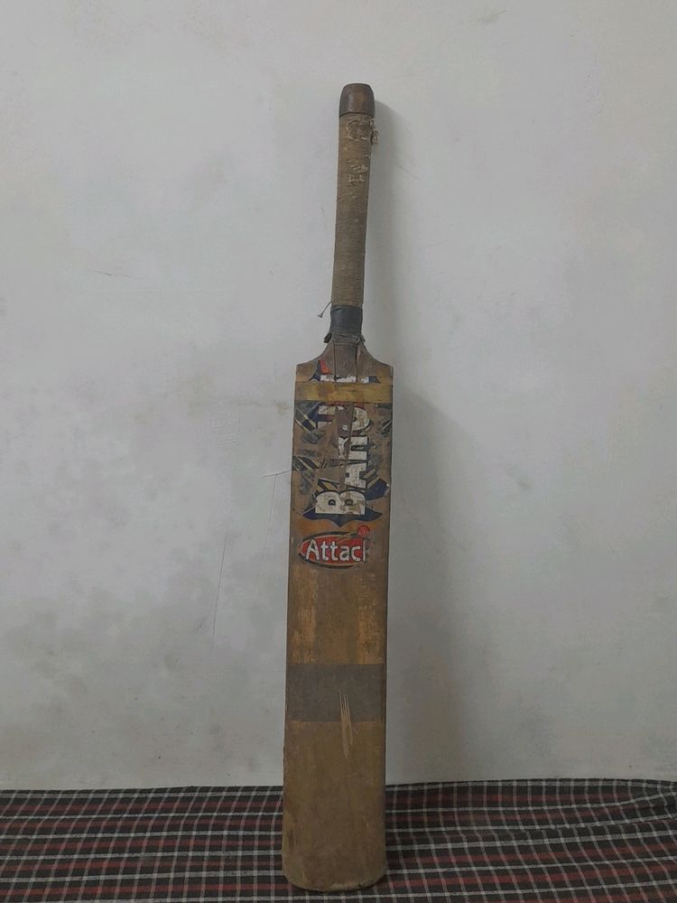 Barun Kashmiri Willow Bat