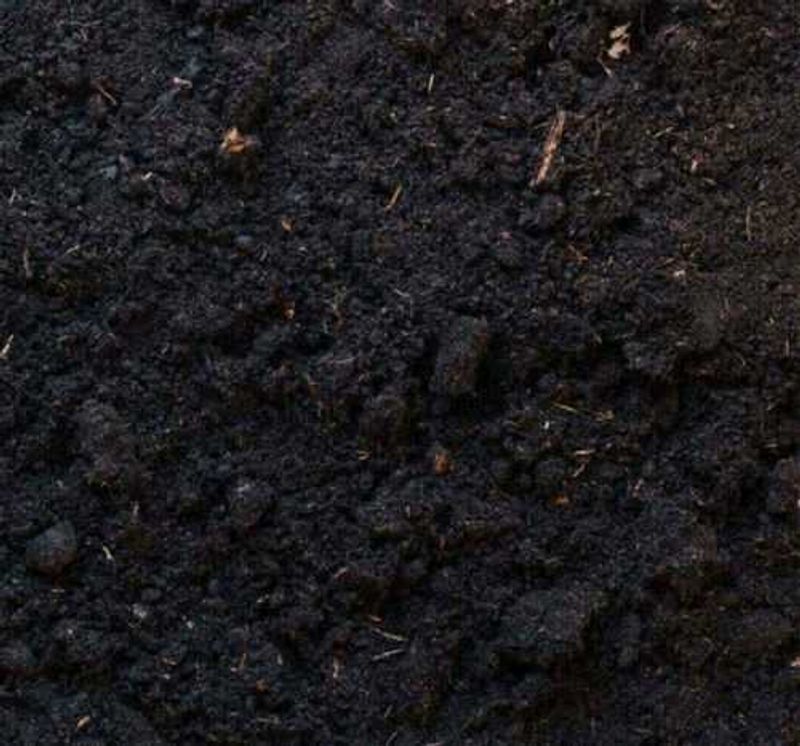 10 Pots 6 Inch , Vermi compost 1kg