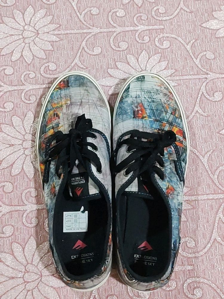 Emerica Shoes.... Brand New Not Even Wore Once...