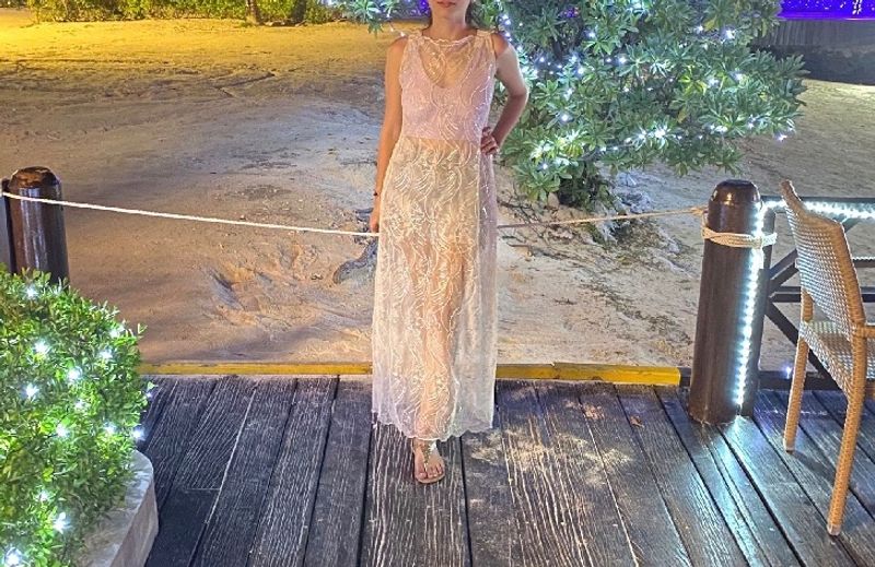 Organza dress With Sequence