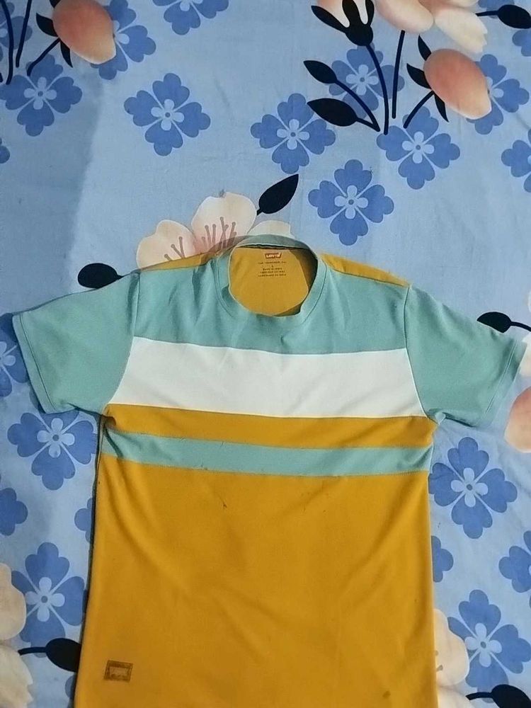 T shirt (used )