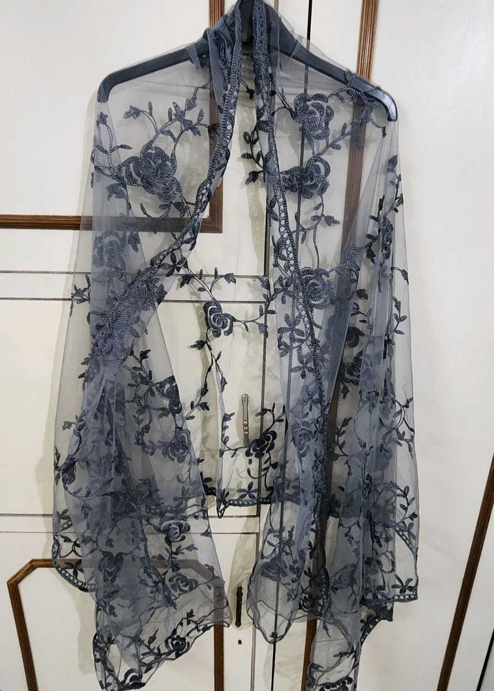 Beautiful Embroidered Grey Dupatta
