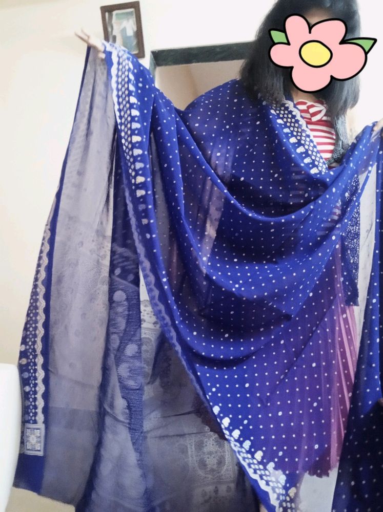 Blue Partywear Sari