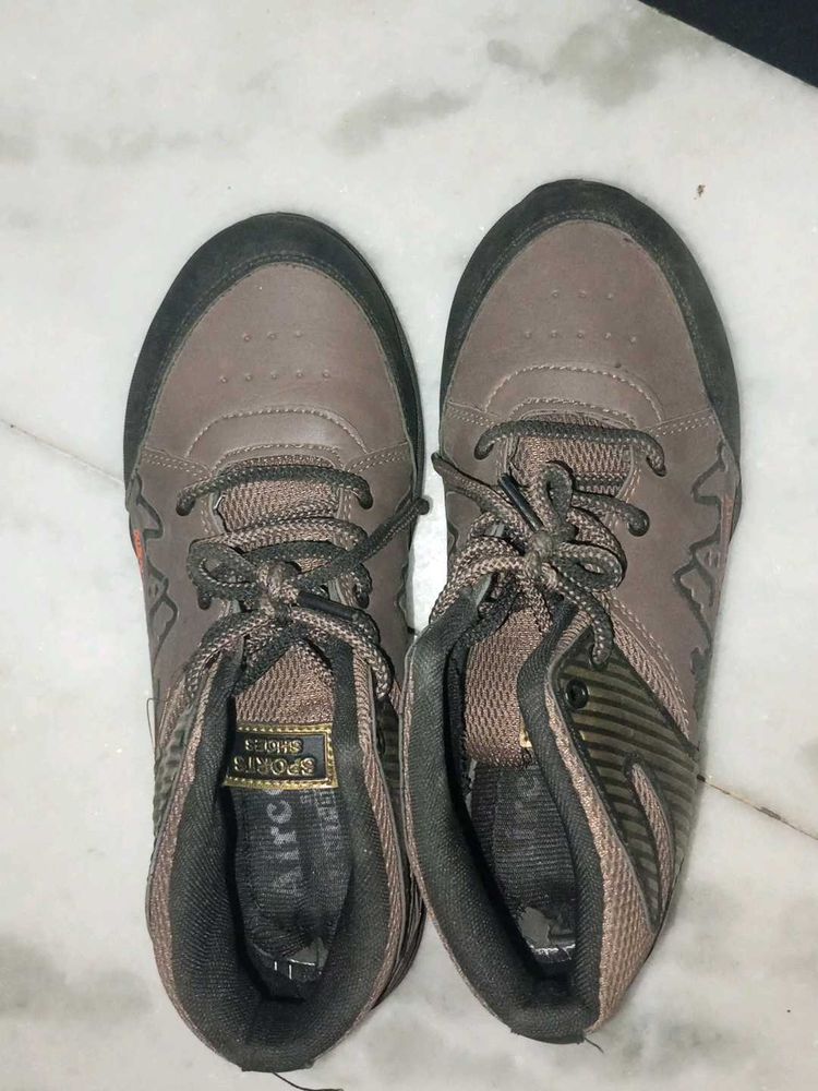 Sport Shoes