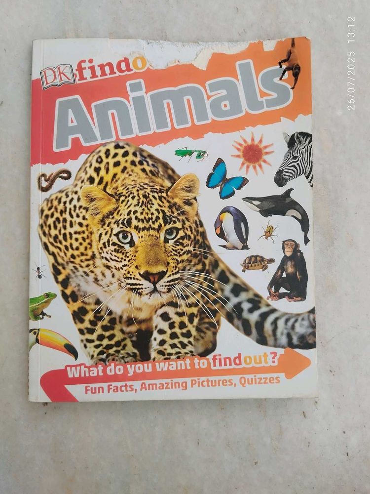 DK Findo Animals Book