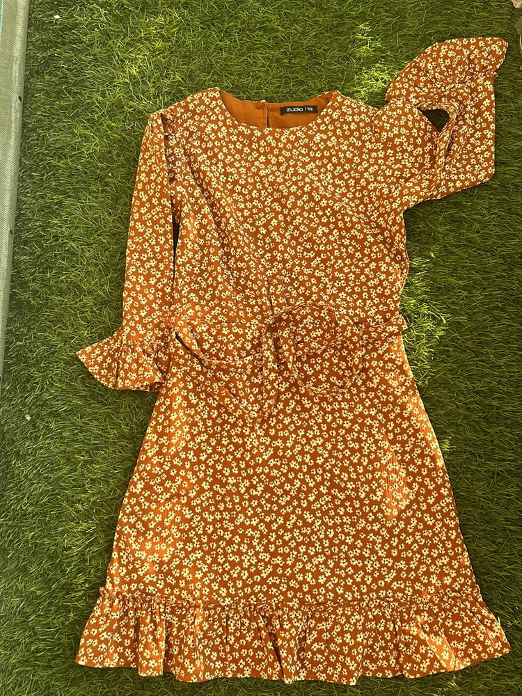It Is A Brown Dress