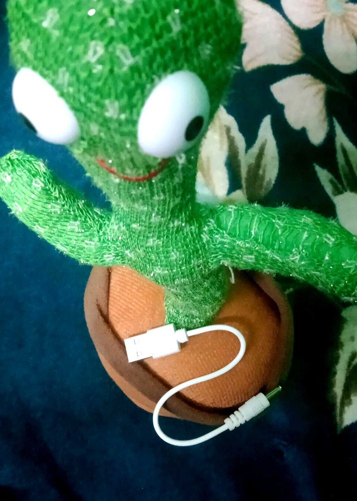 Dancing Cactus Toy