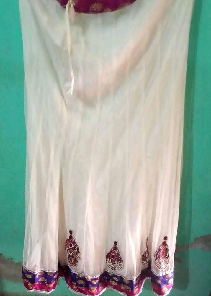 Elegant Ethnic Skirt
