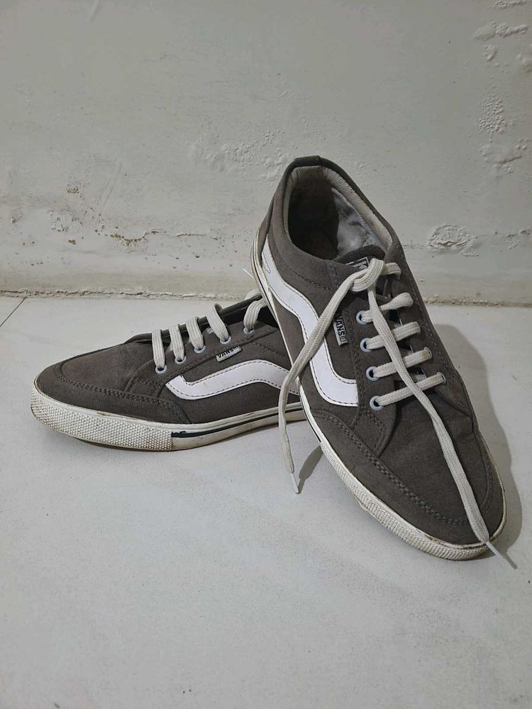 Vans Casual Shoes
