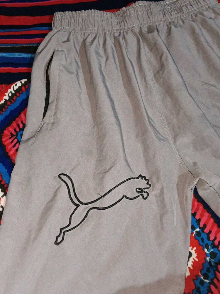 Puma Gray Athletic Shorts