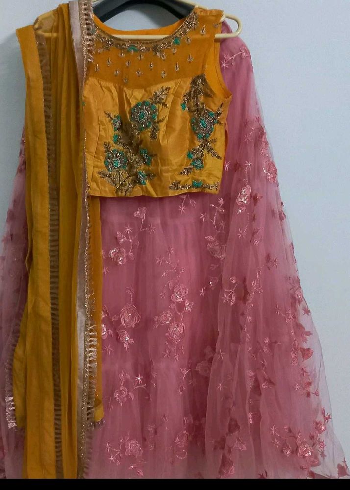 Gorgeous Lehenga Choli