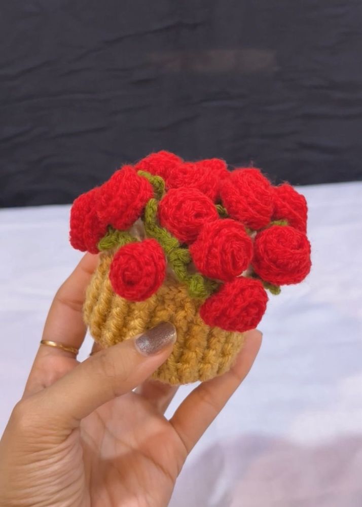 2-in-1 crochet flower pot and coaster