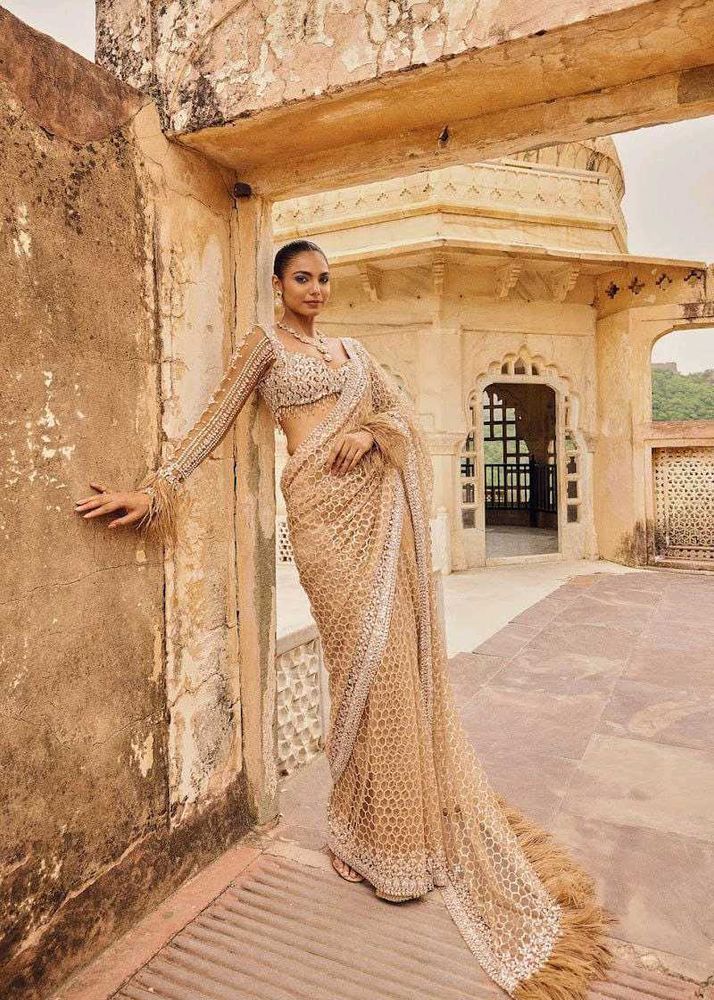 Nude Net Designer Saree