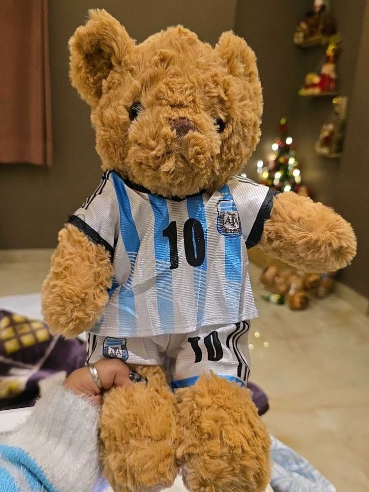 Argentina Teddy Bear ( MESSI)