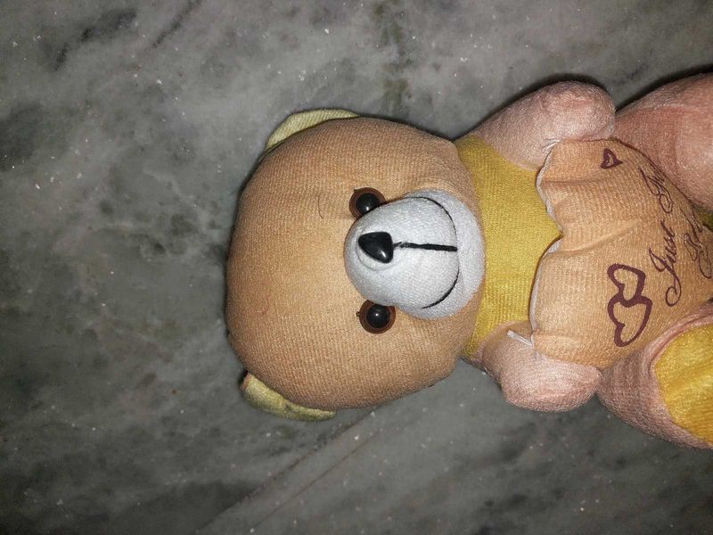 Teddy For Gifting