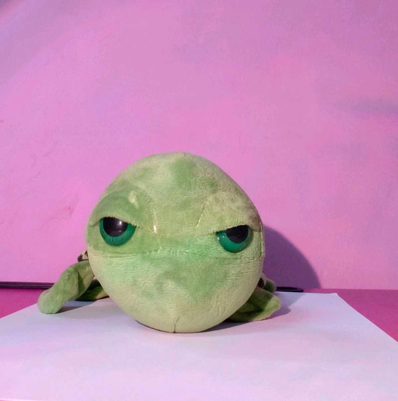 Cute Turtle Plush
