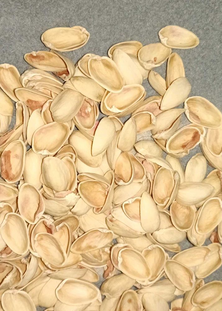 Empty Pistachio Shells