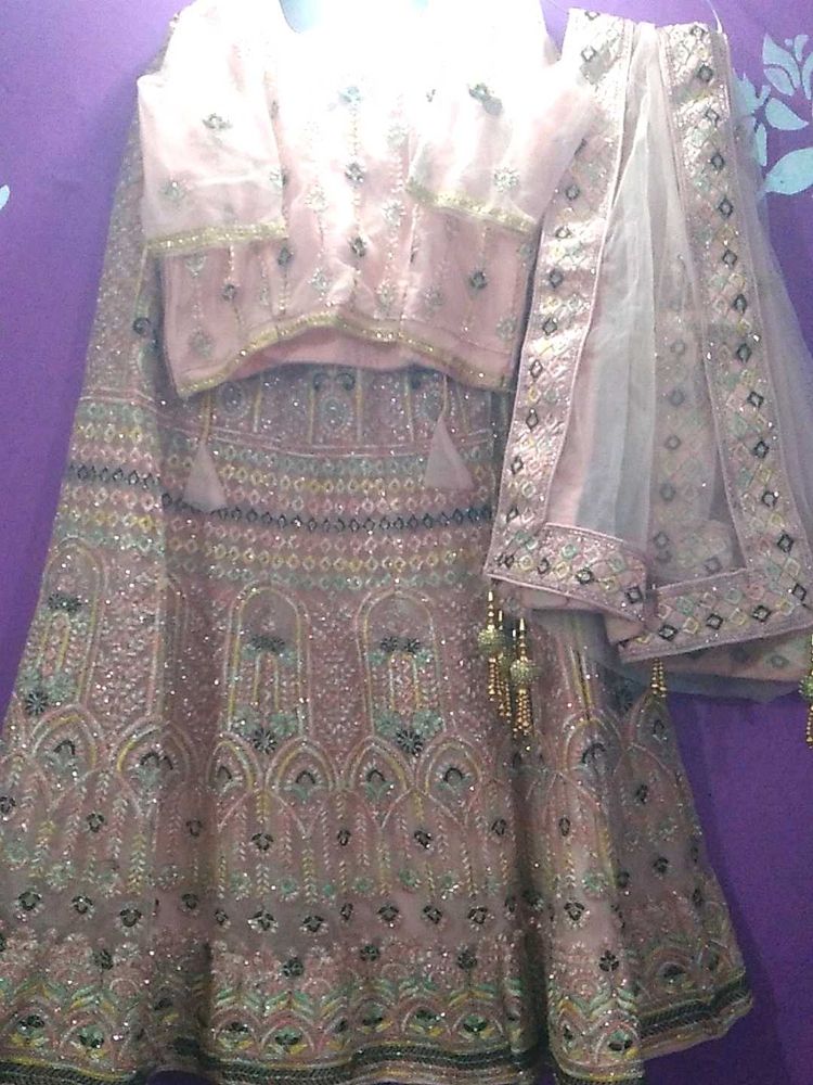 Elegant Embellished Lehenga Choli Set