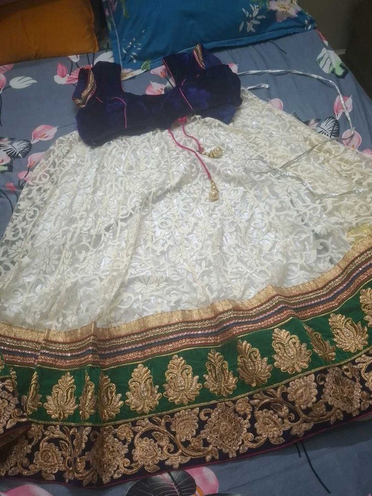 Elegant Lehenga Choli Set