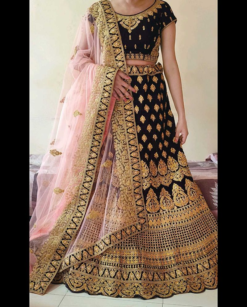 Elegant Lehenga Choli