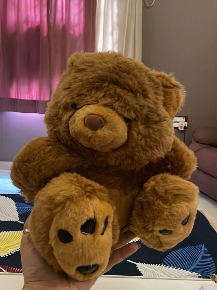 Cute Brown Teddy Bear
