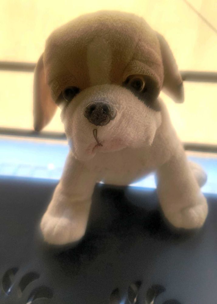 Adorable Soft Toy Pug Dog for Sale! 🐾