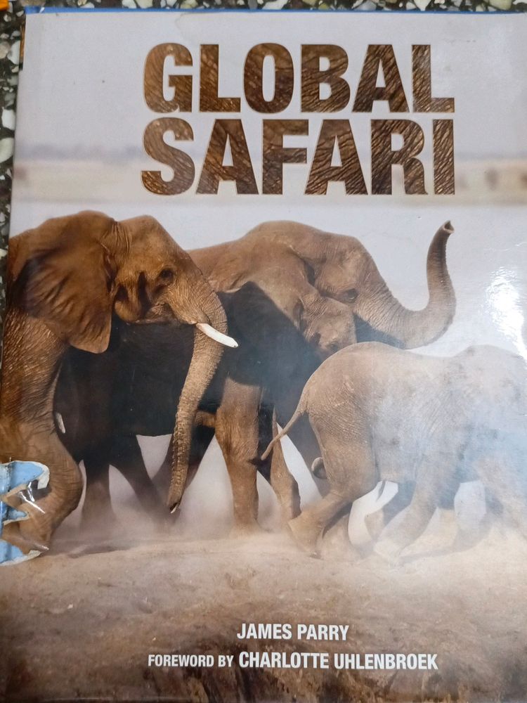 Global Safari