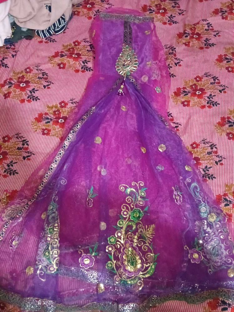 Beautiful Ethnic saree lehenga with blouse