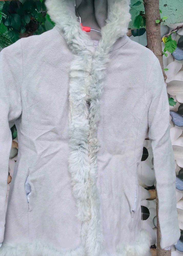 Stylish fur coat