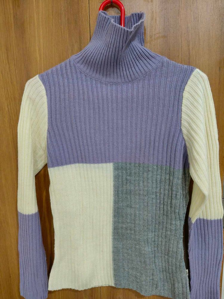 Roadster Color Block Turtleneck Sweater