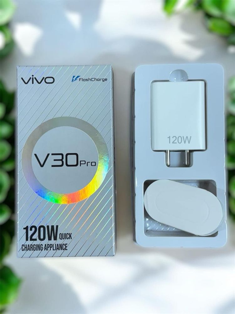 Vivo 120W Charger
