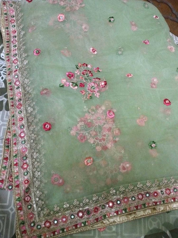 Beautiful Embroidered Net Dupatta