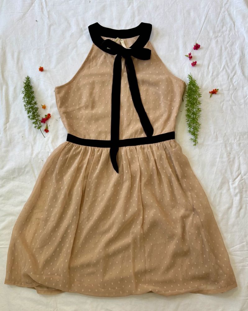 Brand New Dress