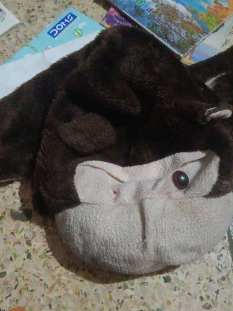 Stuffed Monkey Cap 🧢