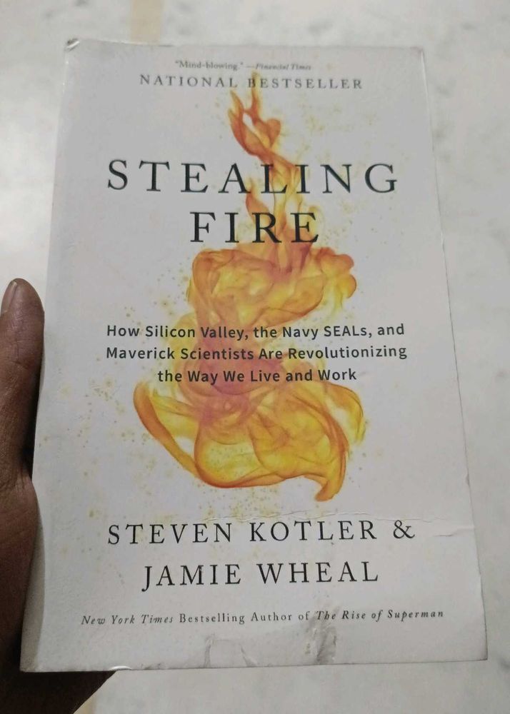 Stealing Fire: Non-Fiction Book