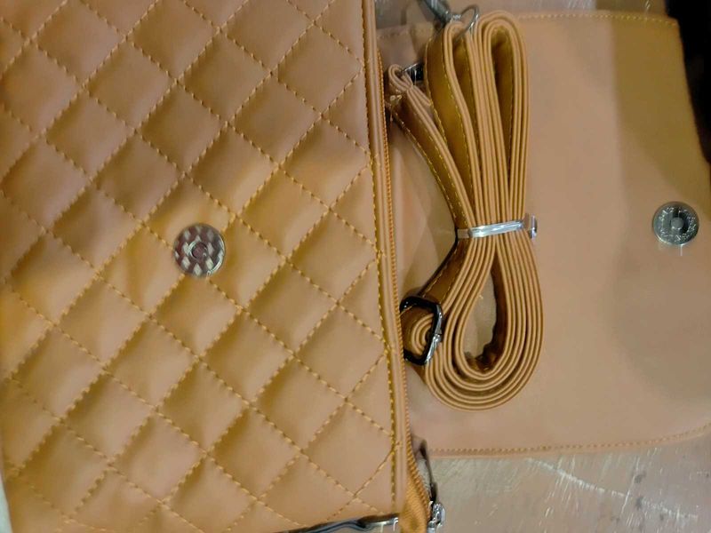 Gucci And Eviour Brand Bag