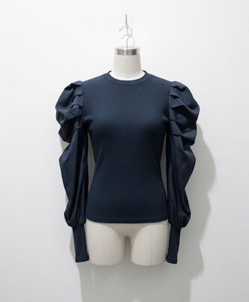 Chic Puff Sleeve Top