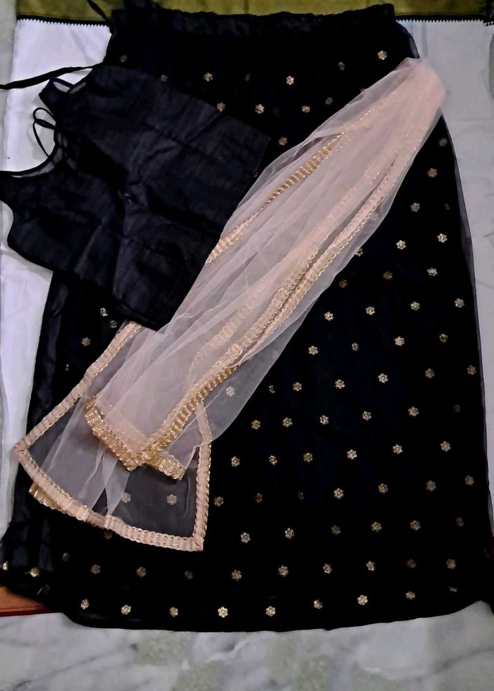 Semi - Stitched Lehenga Choli Set