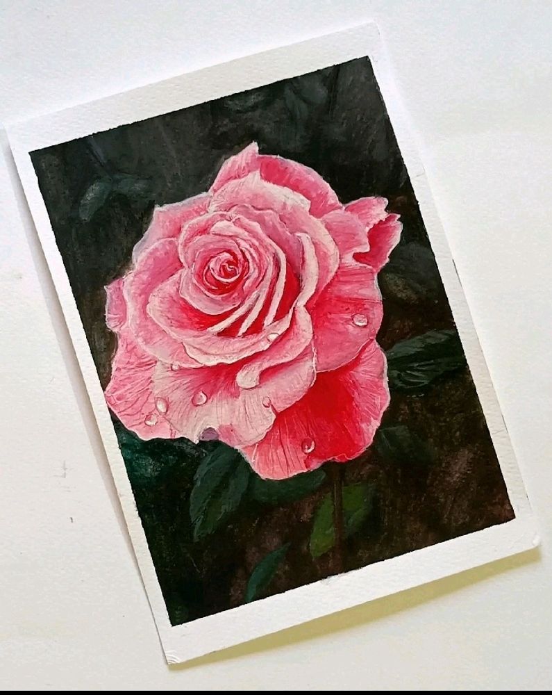 A Handmade Painting Of Pink Rose