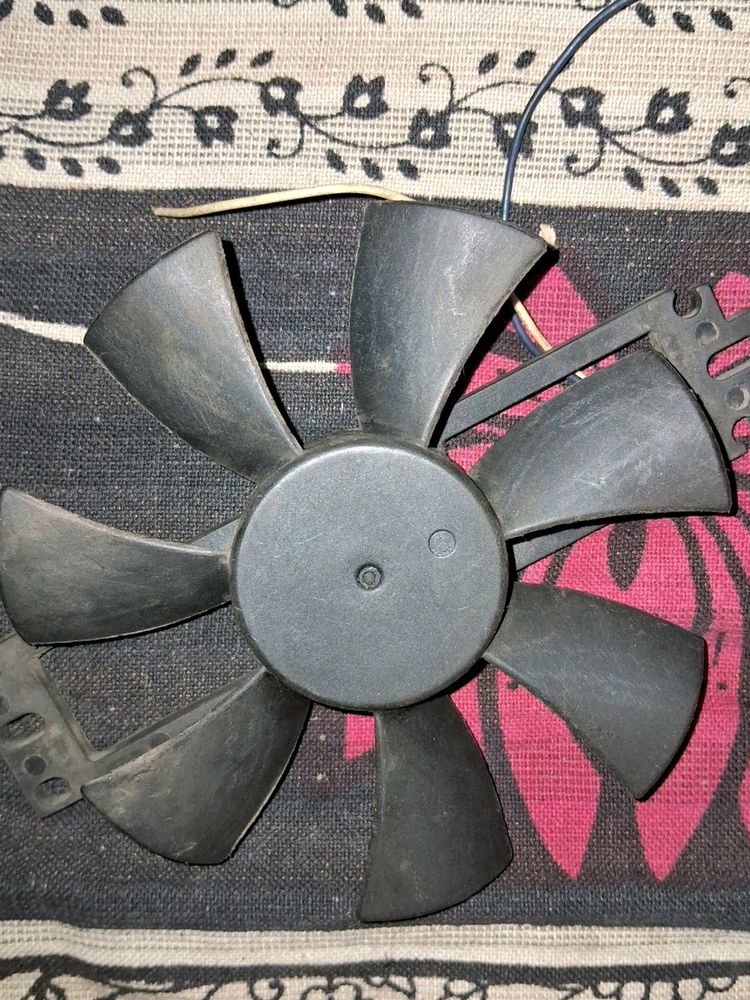 Fan