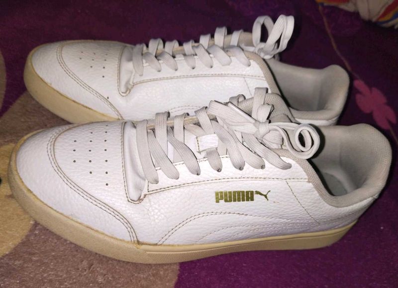 Offer Last Day &#34;1000&#34; Puma White Orignal Snekar