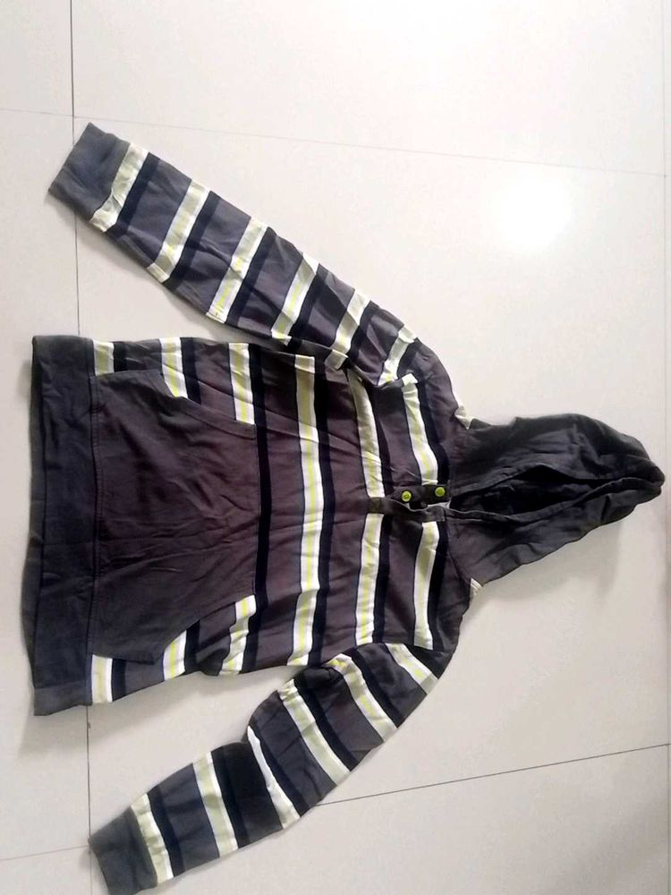 Striped Sweater With Hoodie From US