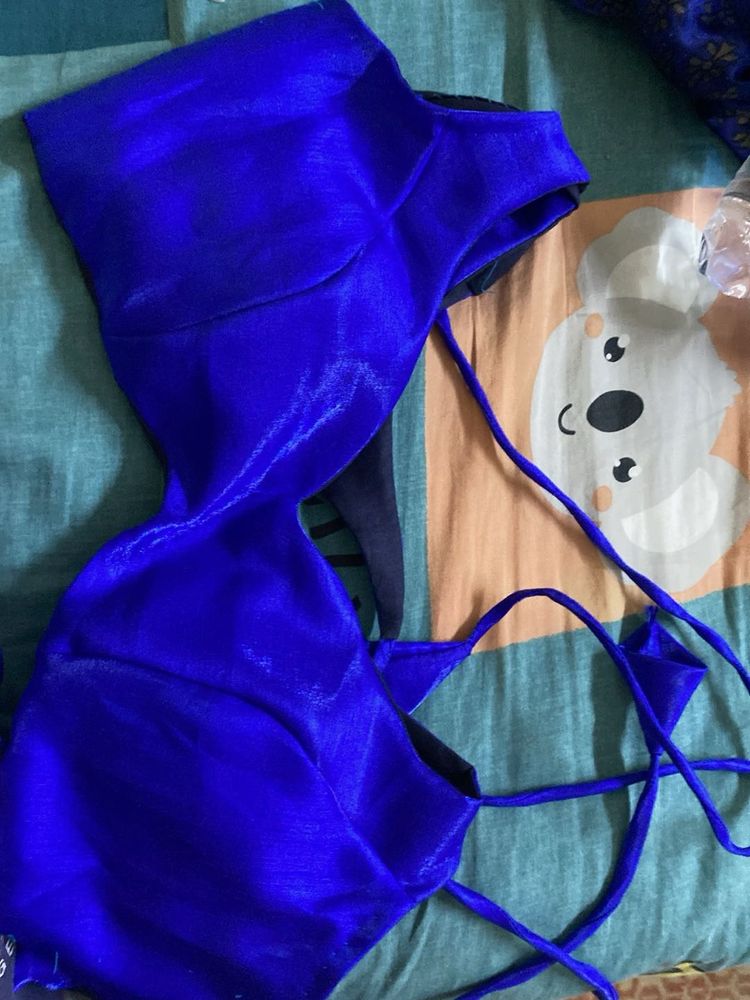 Elegant Blue Saree padded Blouse