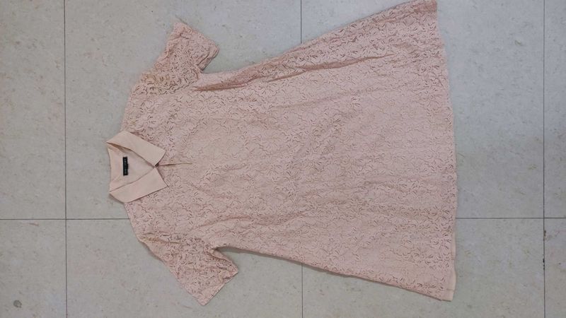 Elegant Lace Collared Dress